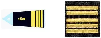 Galon colonel GR